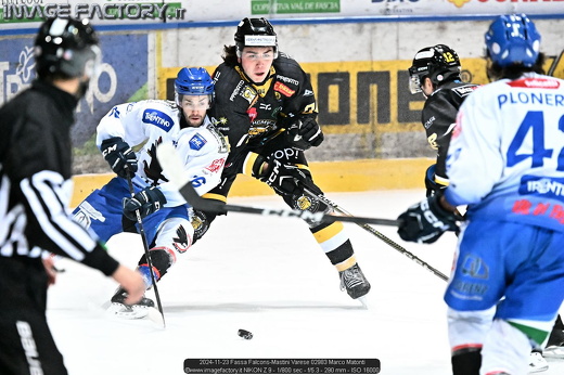 2024-11-23 Fassa Falcons-Mastini Varese 02983 Marco Matonti
